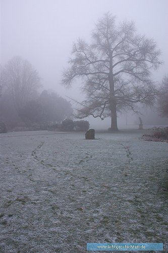 photo 4_winter frost nebel schlosspark weinheim jahreszeiten 