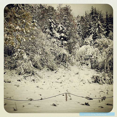 photo themen instagram the_bucki monochrom winter schnee smartphone 