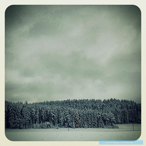 photo themen instagram the_bucki monochrom weiss schwarz winter schnee bäume wald smartphone 